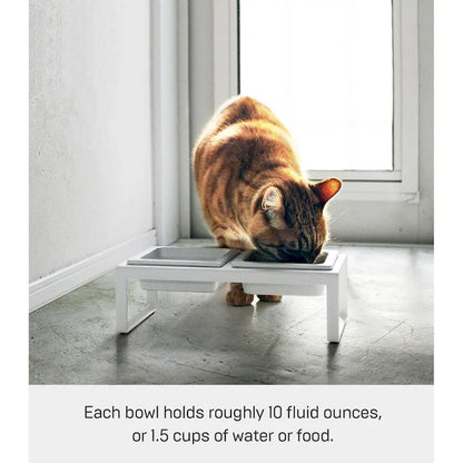 Gamelle Yamazaki Home pour animaux de compagnie - Deux modèles, acier et céramique, haute, 300 ml par gamelle