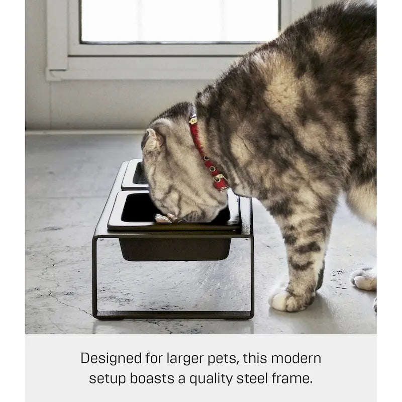 Gamelle Yamazaki Home pour animaux de compagnie - Deux modèles, acier et céramique, haute, 300 ml par gamelle