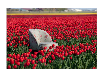 Fauteuil d'appoint en velours beige