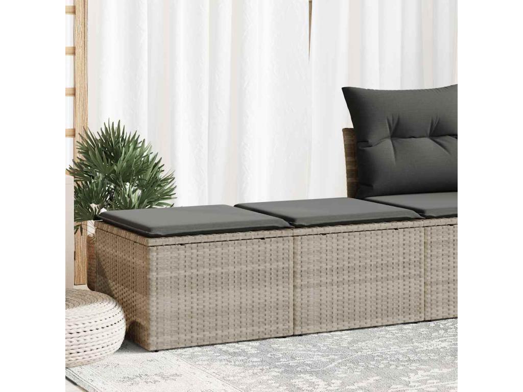 Ensemble de mobilier de jardin 2 pièces avec coussins, gris